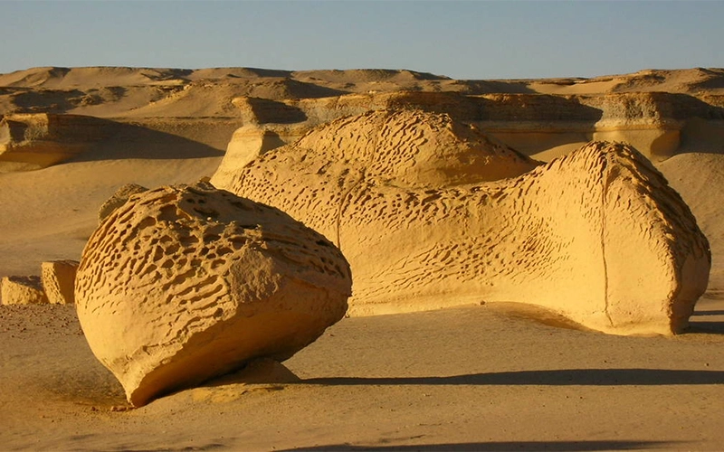 Day Tour to El Fayoum from Cairo