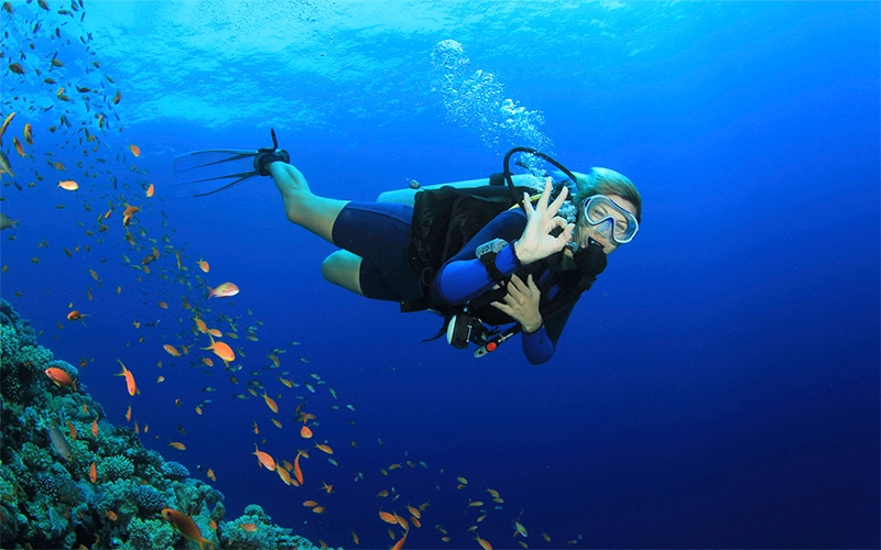 Scuba Diving 2 Dives From The Shore