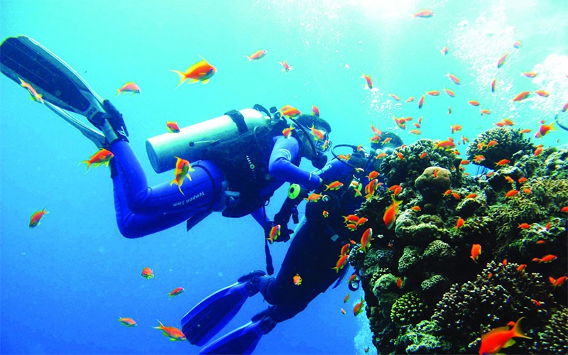 Scuba Diving 2 Dives From The Shore