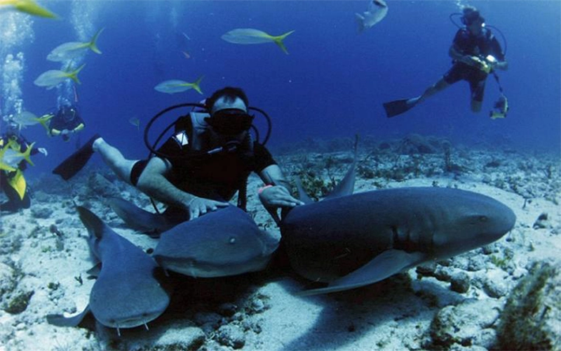 Ras Muhammad National Park: Diving Boat Trip