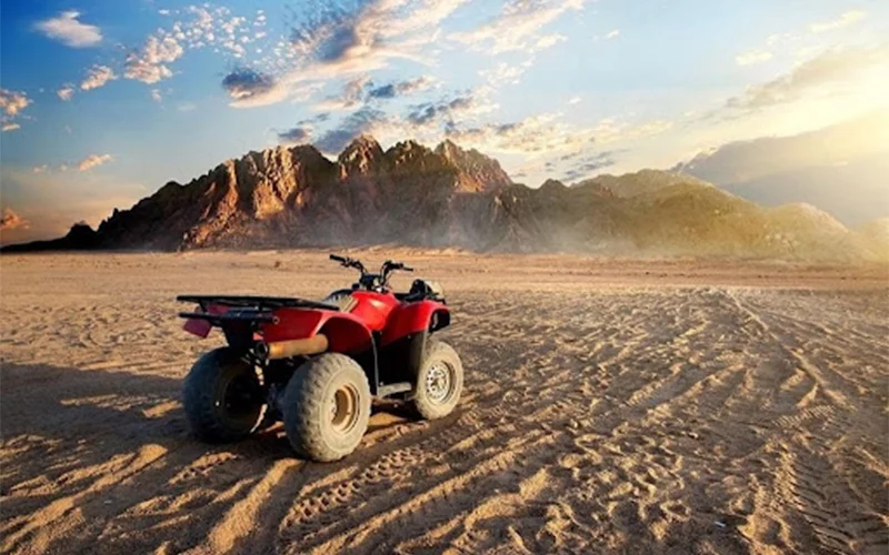 Hurghada: 3-Hour Desert Safari Quad Bike and Camel Ride