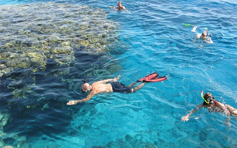 Snorkeling day trip in Hurghada